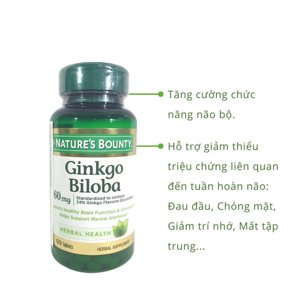 Bổ não gingko biloba - Ảnh 4