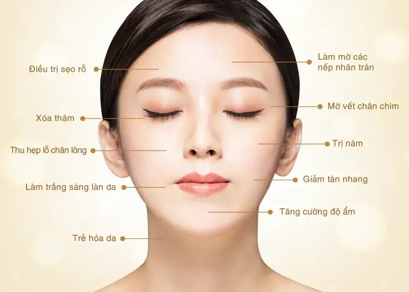 Giải Mã Cơ Chế Tăng Sinh Tế Bào Gốc Tái Tạo Vàng Cho Sức Khỏe & Sắc Đẹp